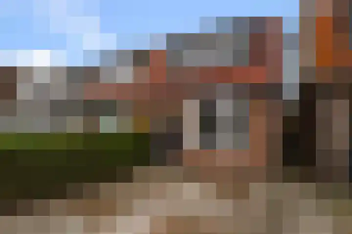 Dorpsstraat 872 Assendelft thumbnail 55