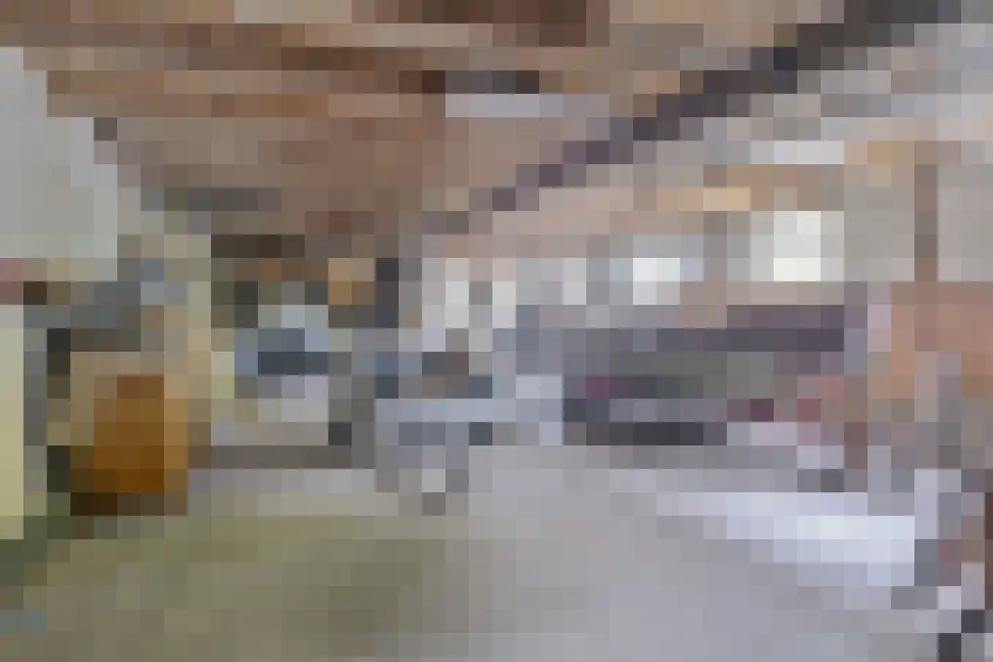 Dorpsstraat 877 Oudkarspel thumbnail 29