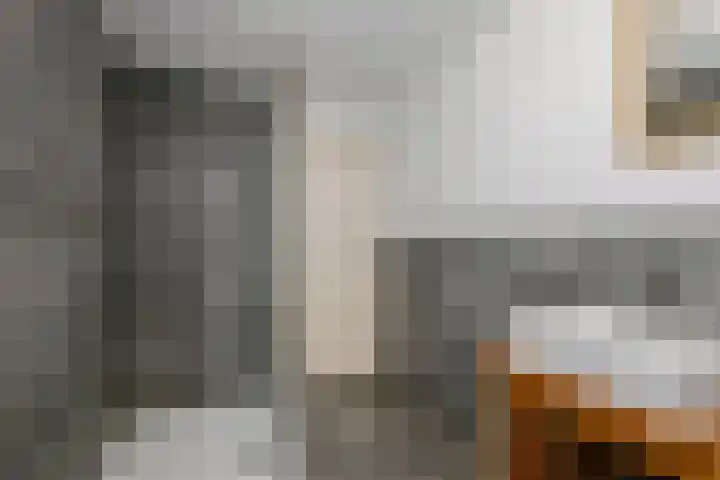 Dorpsstraat 88 Wervershoof thumbnail 34