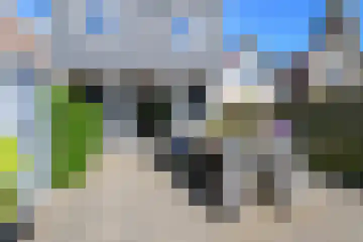 Dorpsstraat 88 Wervershoof thumbnail 39