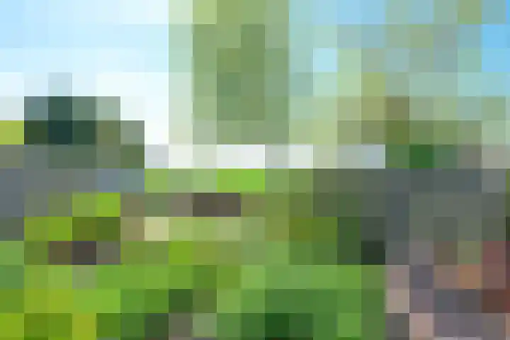 Dorpsstraat 88 Wervershoof thumbnail 4