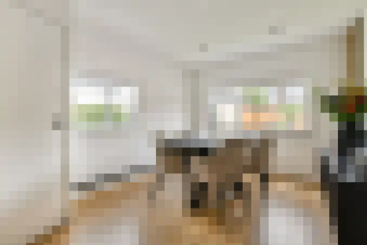 Dorpsstraat 89 Aalsmeer thumbnail 13