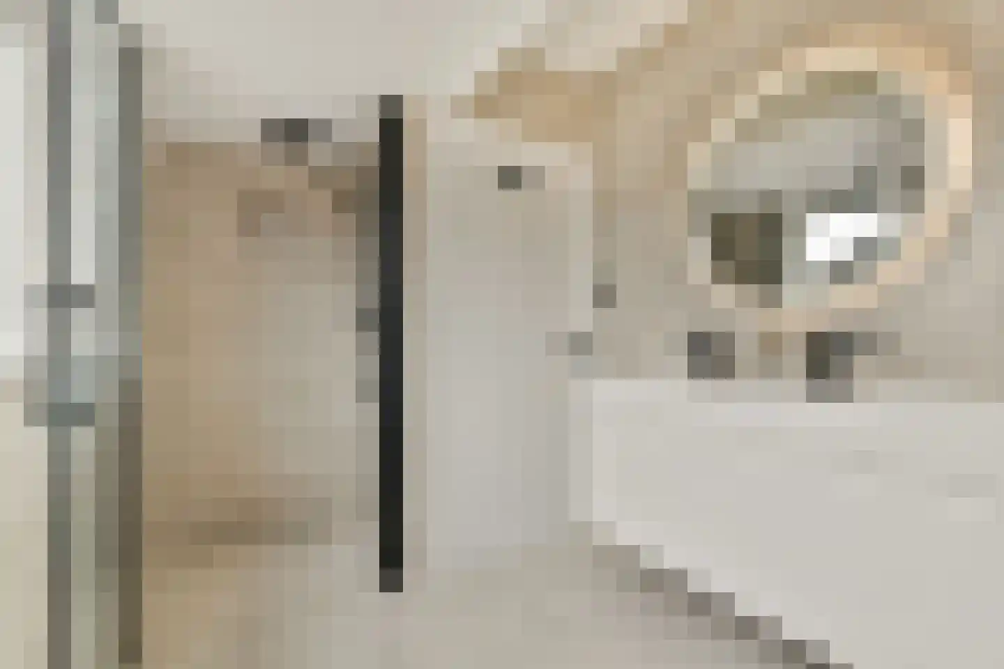 Dorpsstraat 89 Aalsmeer thumbnail 28