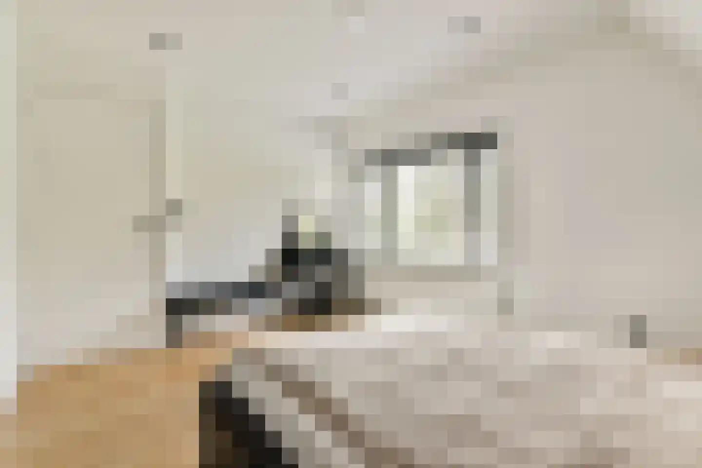 Dorpsstraat 89 Aalsmeer thumbnail 31
