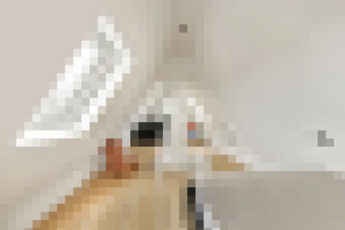 Dorpsstraat 89 Aalsmeer thumbnail 34