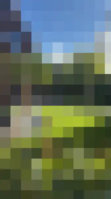 Dorpsstraat 89 Aalsmeer thumbnail 53