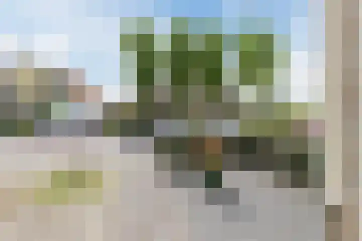 Dorpsstraat 890 Assendelft thumbnail 33