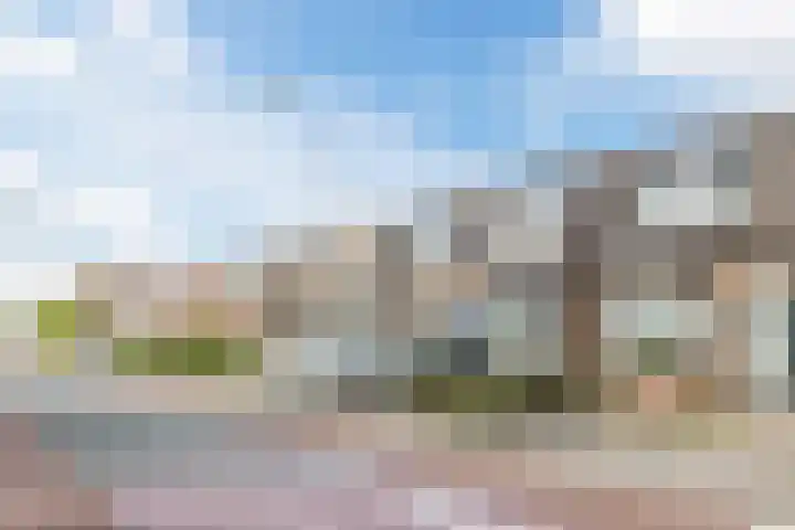 Dorpsstraat 890 Assendelft thumbnail 34
