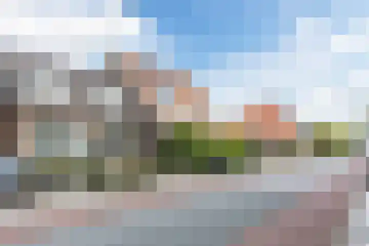 Dorpsstraat 890 Assendelft thumbnail 35