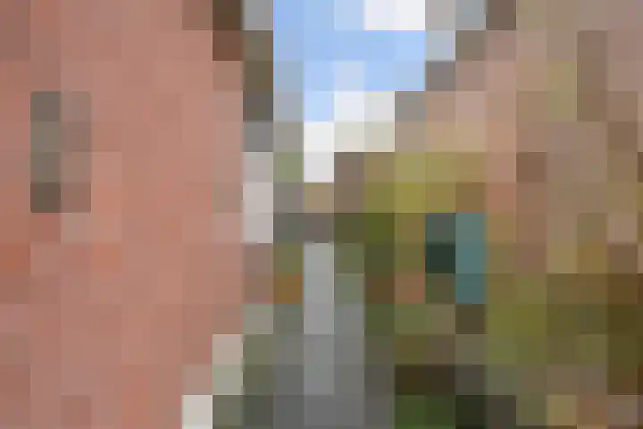 Dorpsstraat 892 Oudkarspel thumbnail 8