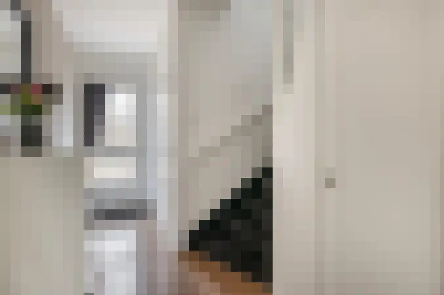 Dorpsstraat 9 Bergschenhoek thumbnail 10
