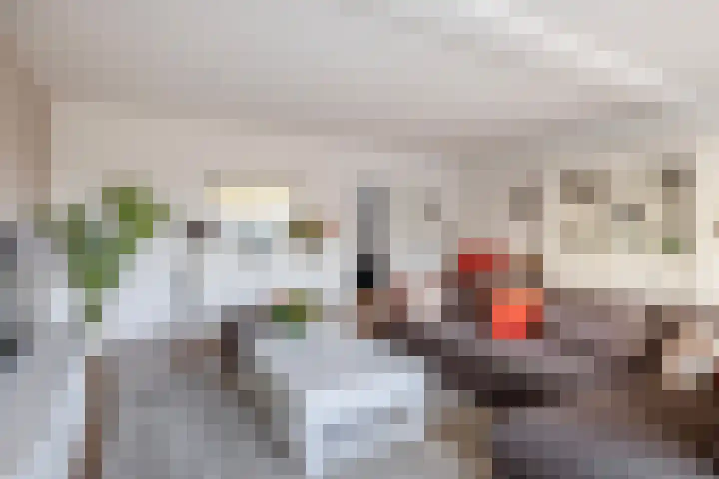Dorpsstraat 9 Bergschenhoek thumbnail 15