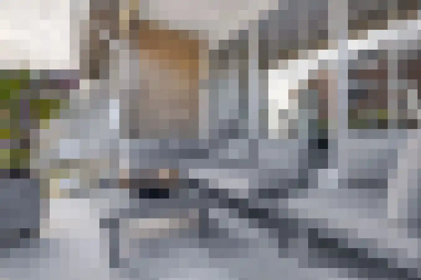 Dorpsstraat 9 Bergschenhoek thumbnail 21