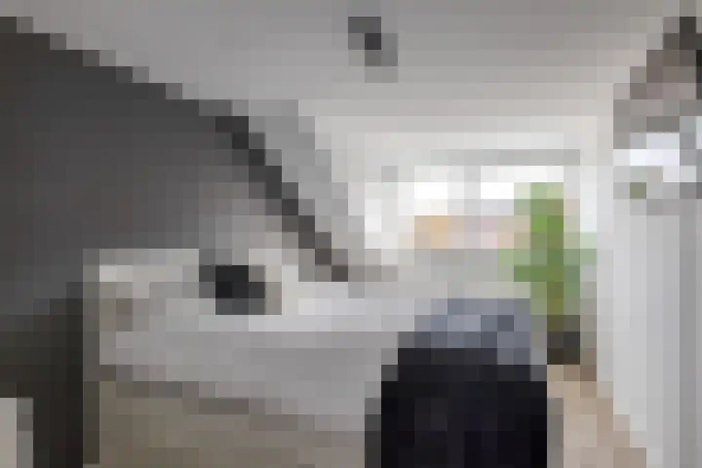 Dorpsstraat 9 Bergschenhoek thumbnail 30