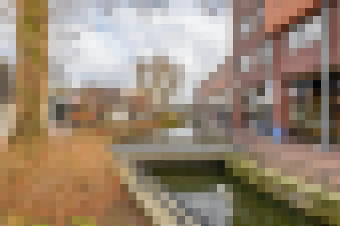 Dorpsstraat 9 Bergschenhoek thumbnail 33