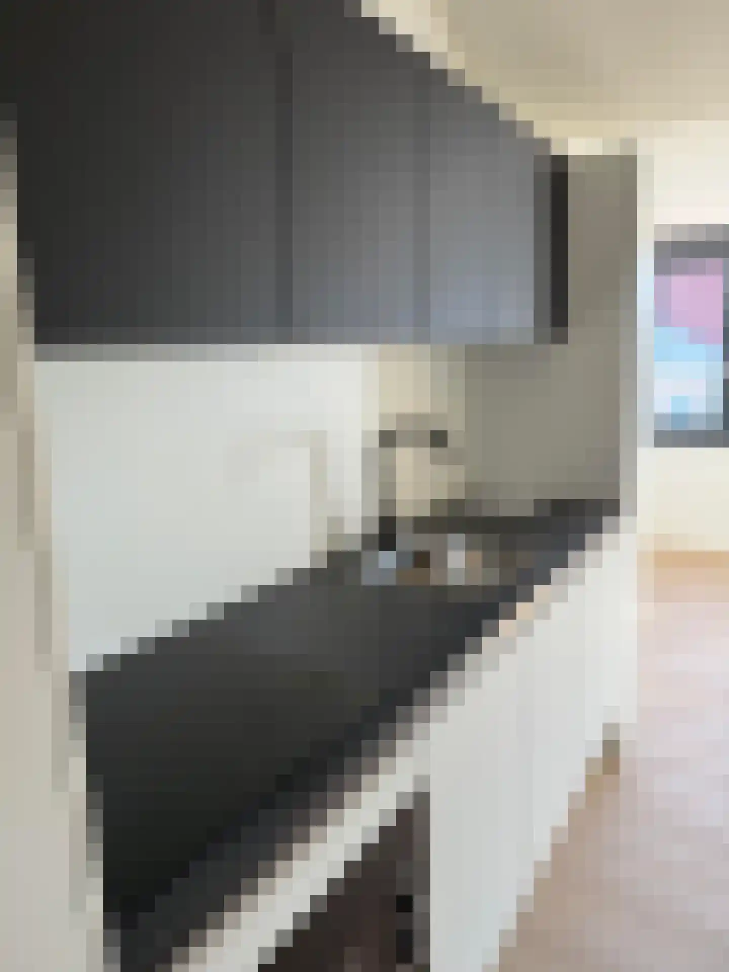 Dorpsstraat 9 De Koog thumbnail 10