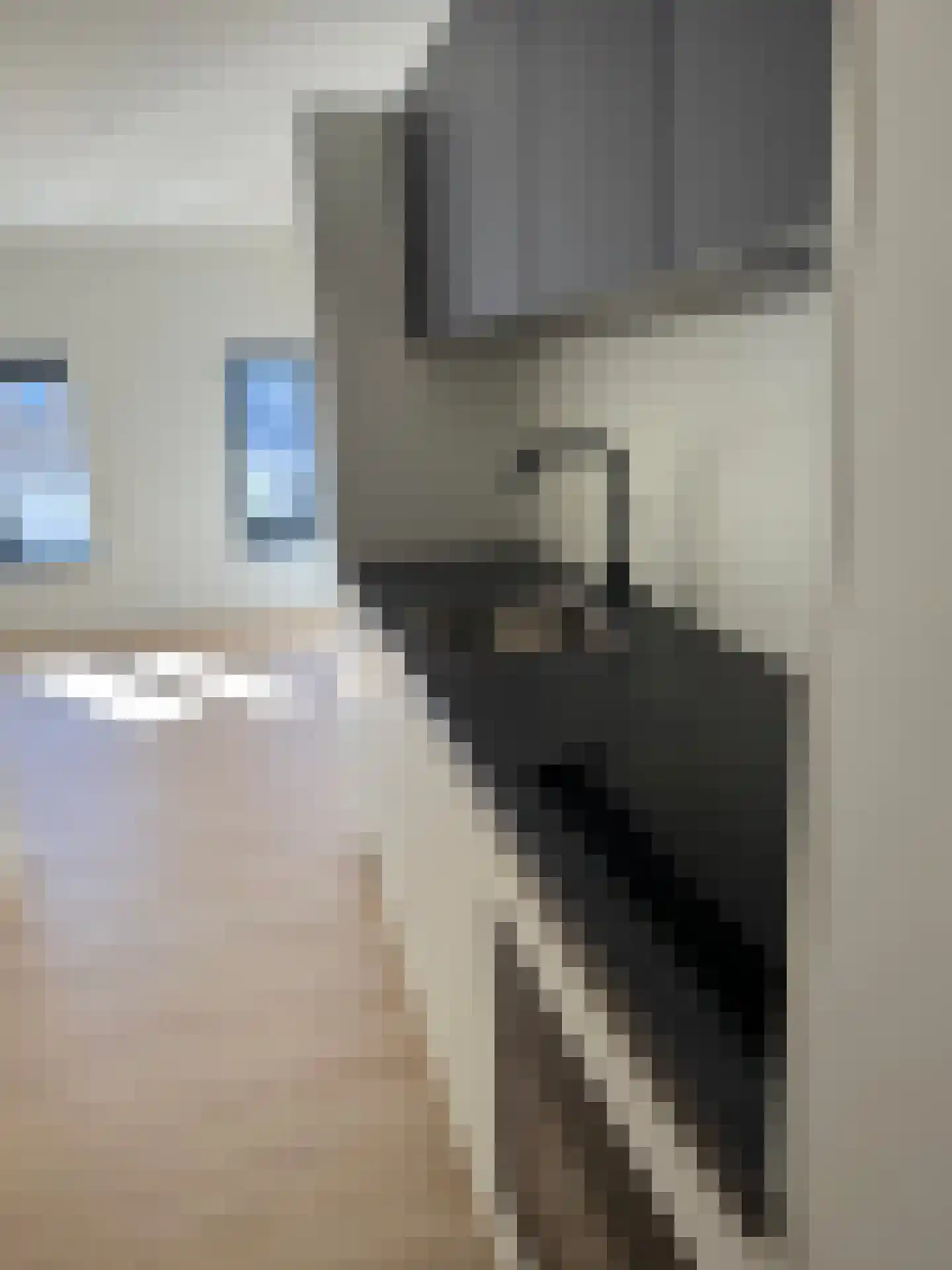 Dorpsstraat 9 De Koog thumbnail 11