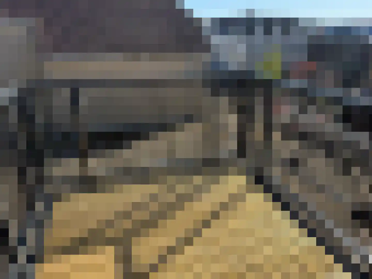 Dorpsstraat 9 De Koog thumbnail 17