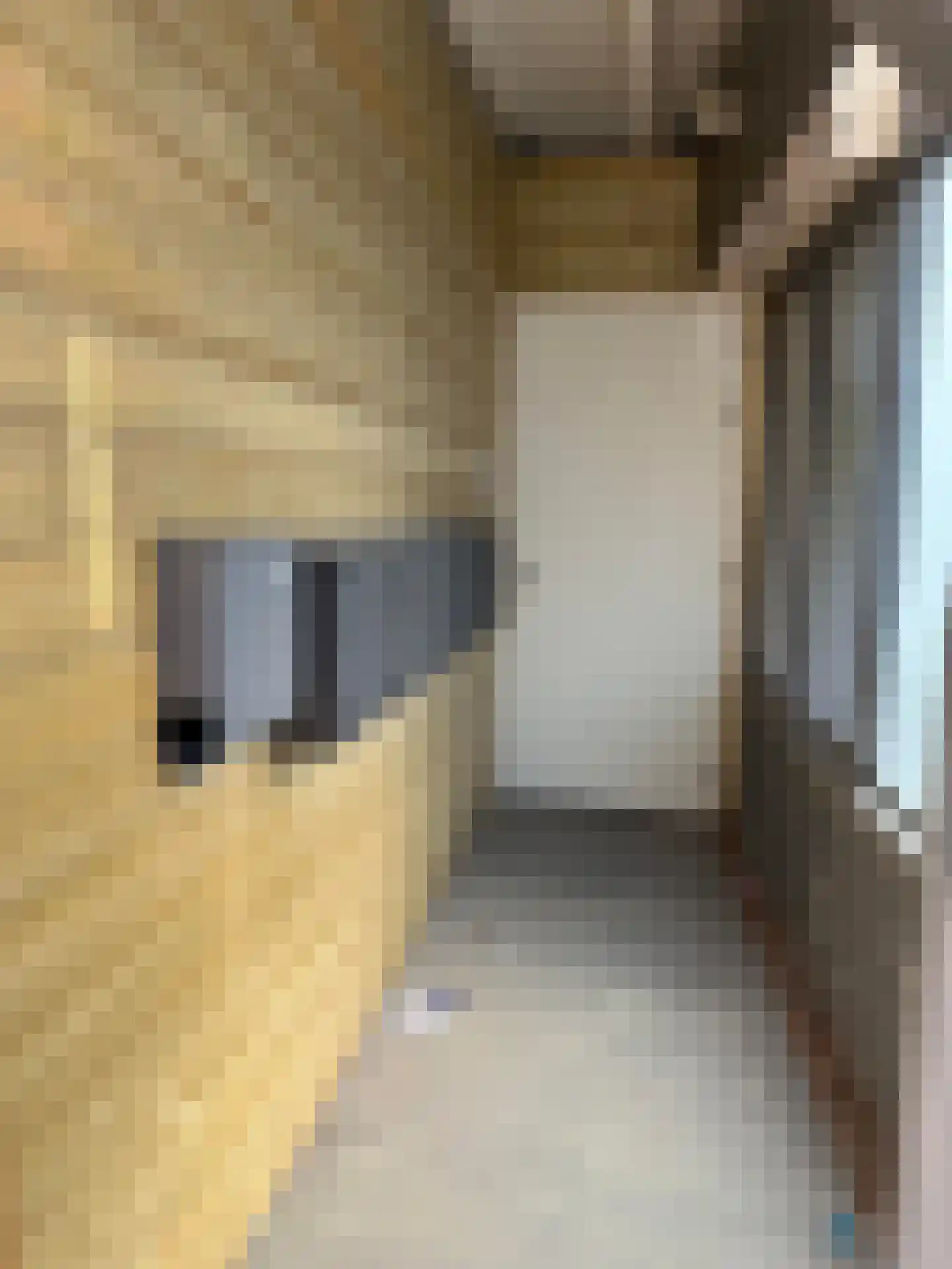 Dorpsstraat 9 De Koog thumbnail 4