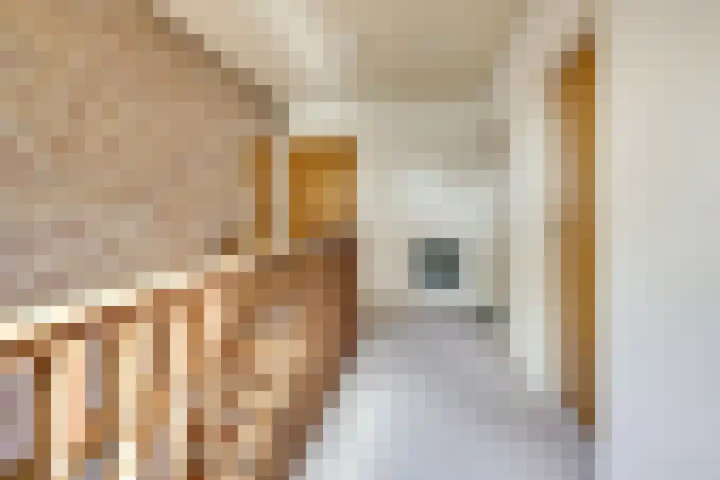 Dorpsstraat 9 Houten thumbnail 22