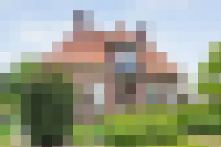 Dorpsstraat 9 Nijeveen thumbnail 10