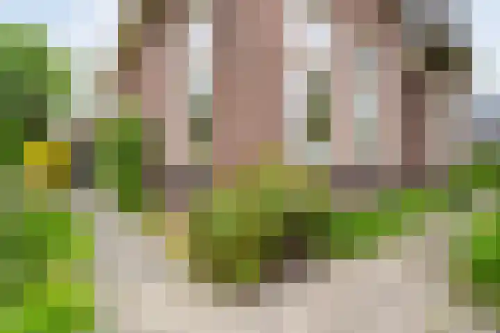 Dorpsstraat 9 Nijeveen thumbnail 12