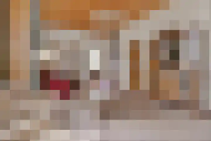 Dorpsstraat 9 Nijeveen thumbnail 22