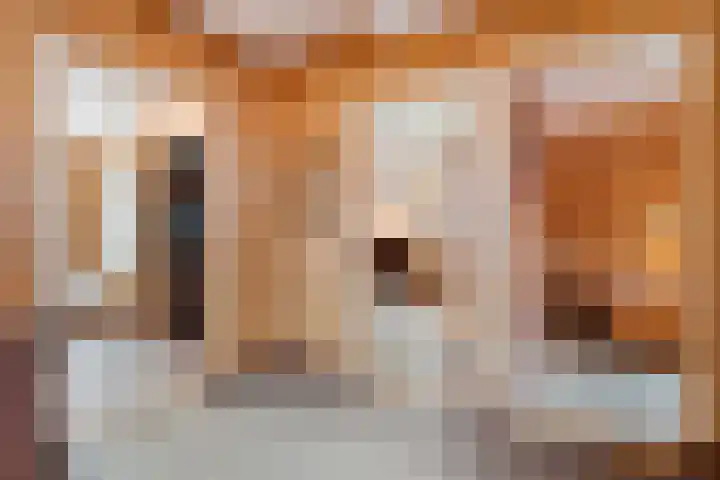 Dorpsstraat 9 Nijeveen thumbnail 32