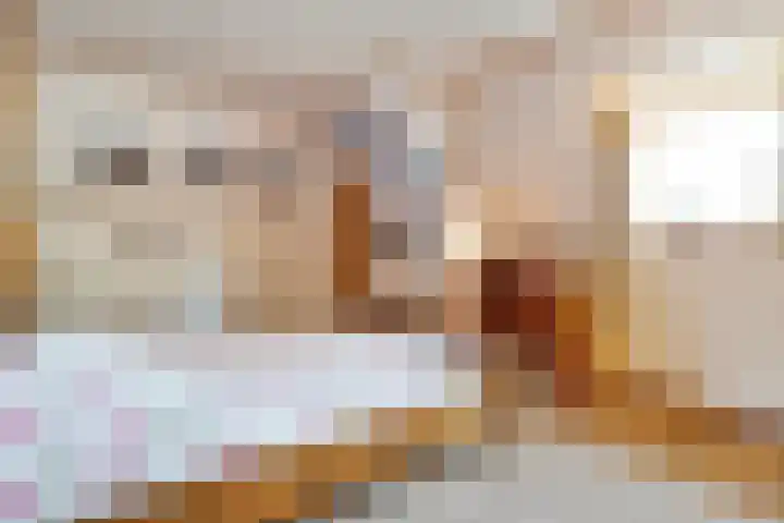 Dorpsstraat 9 Nijeveen thumbnail 33