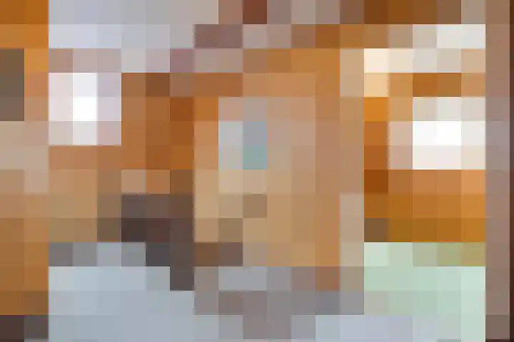 Dorpsstraat 9 Nijeveen thumbnail 39