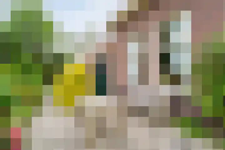 Dorpsstraat 9 Nijeveen thumbnail 44