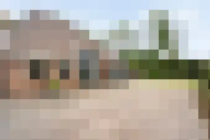 Dorpsstraat 9 Nijeveen thumbnail 45