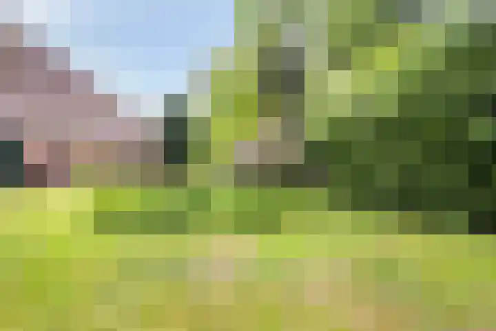 Dorpsstraat 9 Nijeveen thumbnail 47