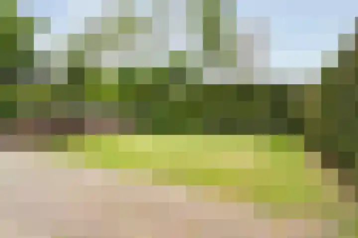 Dorpsstraat 9 Nijeveen thumbnail 48