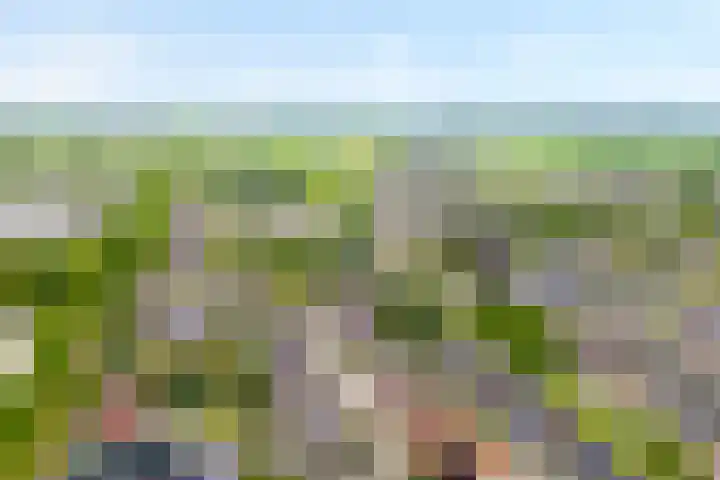 Dorpsstraat 9 Nijeveen thumbnail 5