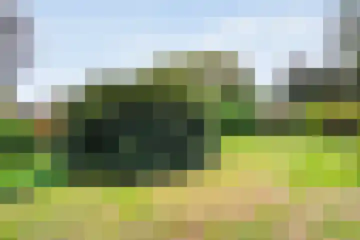 Dorpsstraat 9 Nijeveen thumbnail 50