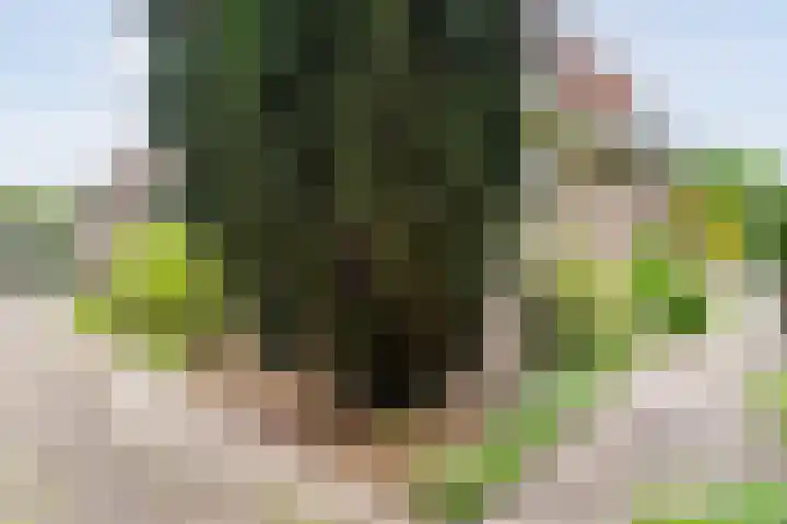 Dorpsstraat 9 Nijeveen thumbnail 51