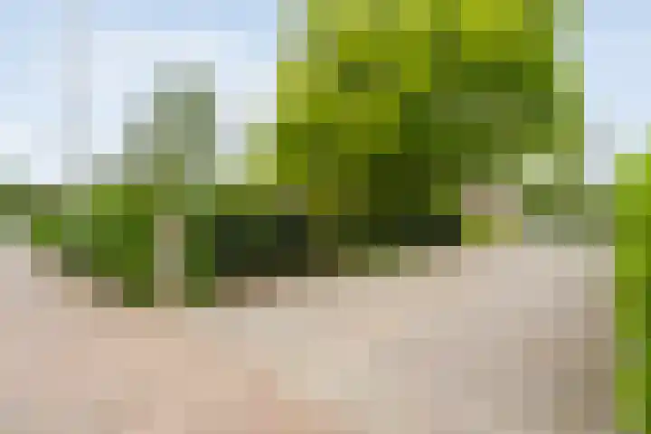 Dorpsstraat 9 Nijeveen thumbnail 52