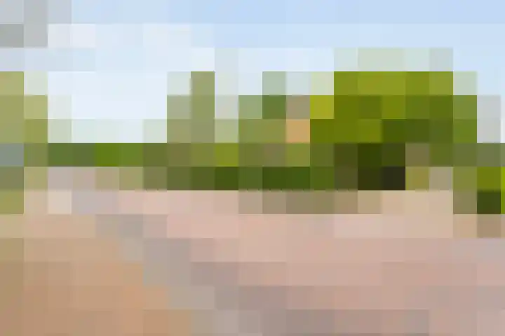 Dorpsstraat 9 Nijeveen thumbnail 53