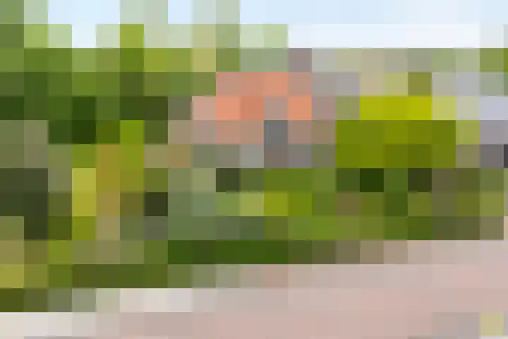 Dorpsstraat 9 Nijeveen thumbnail 6
