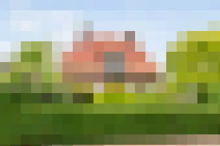 Dorpsstraat 9 Nijeveen thumbnail 7