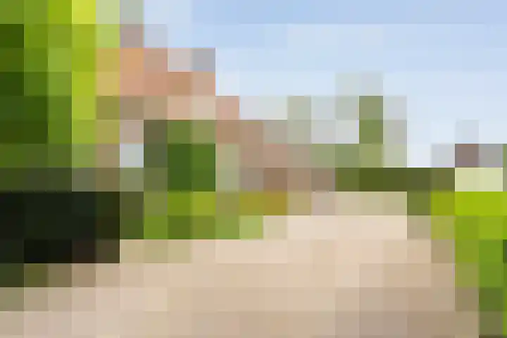 Dorpsstraat 9 Nijeveen thumbnail 8