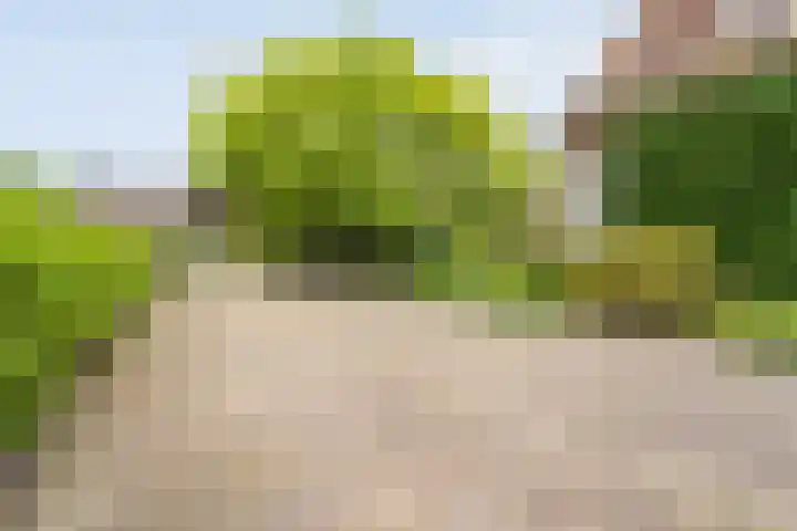Dorpsstraat 9 Nijeveen thumbnail 9