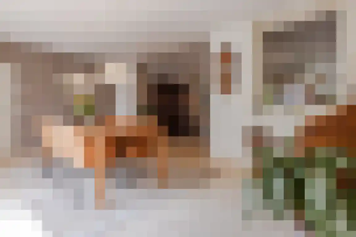 Dorpsstraat 9 Ossendrecht thumbnail 11