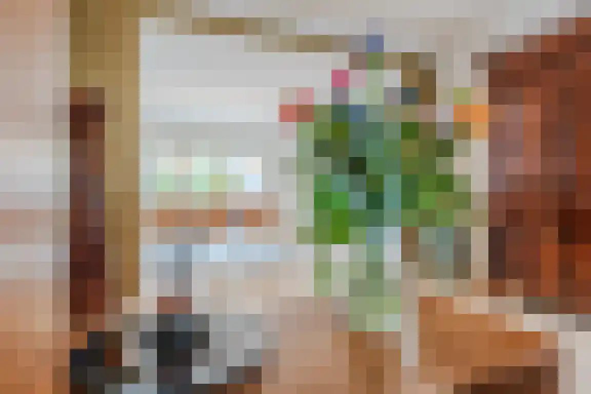 Dorpsstraat 9 Ossendrecht thumbnail 8