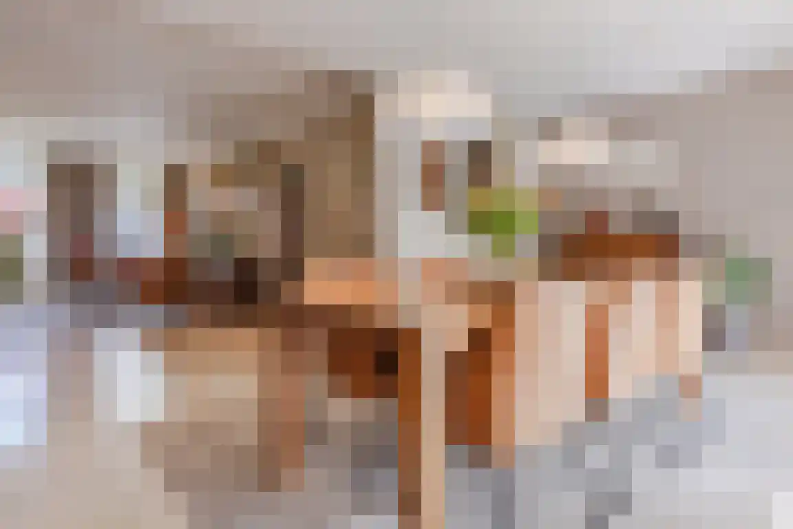 Dorpsstraat 9 Ossendrecht thumbnail 9