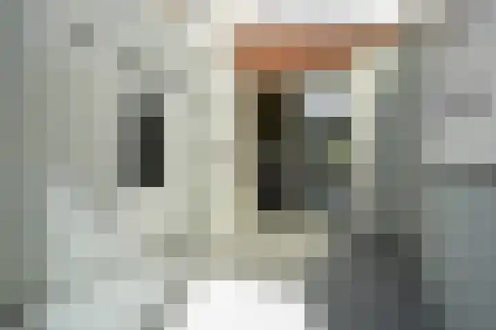 Dorpsstraat 9 Slenaken thumbnail 12