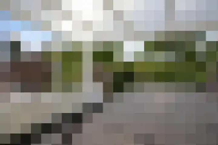 Dorpsstraat 9 Slenaken thumbnail 23