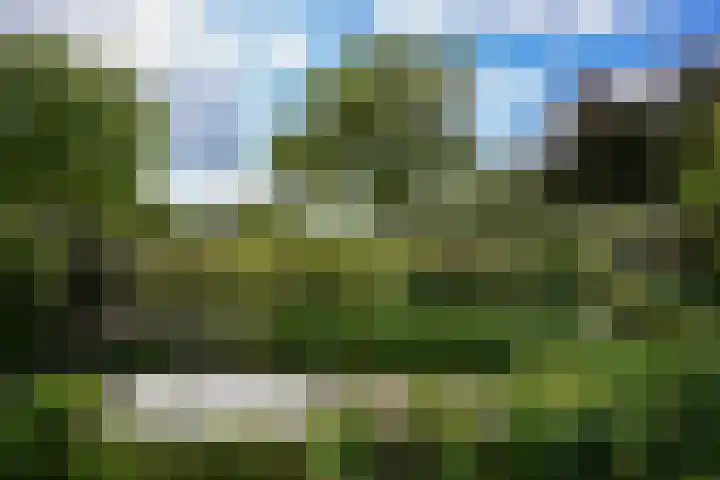 Dorpsstraat 9 Slenaken thumbnail 25
