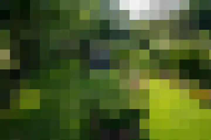 Dorpsstraat 9 Terwolde thumbnail 31